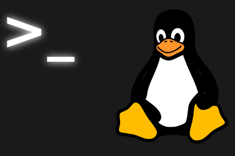 Linux und Bash Stock Image
